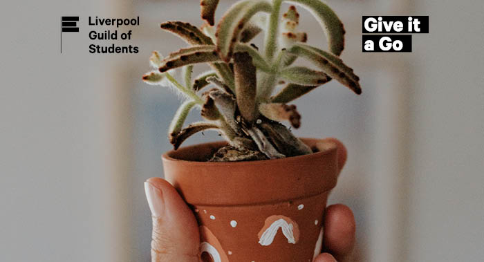 Hand holding a plant pot which is painting with rainbows on