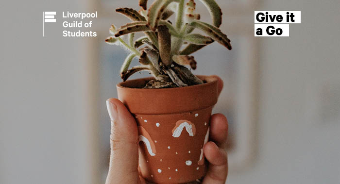 Hand holding painted plant pot